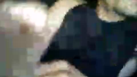 matiasva73 online show from 7, 7, 2026