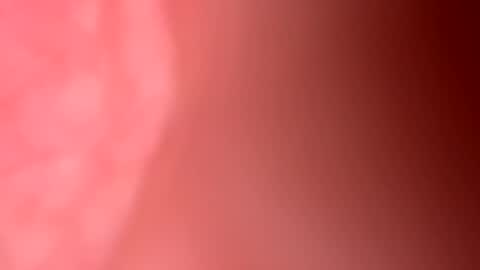 Freekster online show from 31, 3, 2026