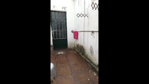 mature_boy77 online show from 3, 2, 2026