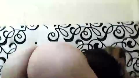 Snapshot of mature_sweet3827 chatting on 6, 12, 2024 mature_sweet3827 online show from 6, 12, 2024