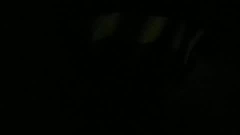 Lira online show from 13, 1, 2026