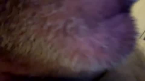 maverick7000 online show from 23, 2, 2025