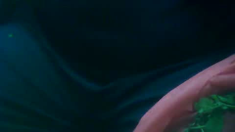 Snapshot of maxijazz1234 chatting on 1, 12, 2024 IJAZZ online show from 1, 12, 2024