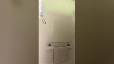 maxine593627 online show from 14, 1, 2026