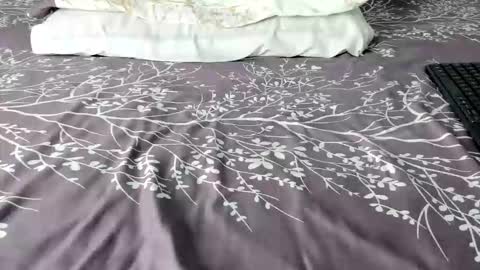 Maybelline69 online show from 6, 2, 2026