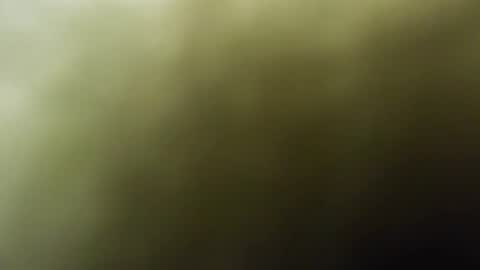 Snapshot of maylee_x chatting on 15, 2, 2025 maylee_x online show from 15, 2, 2025