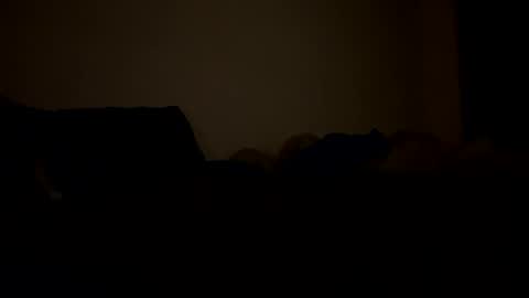 mb99667788 online show from 24, 2, 2026