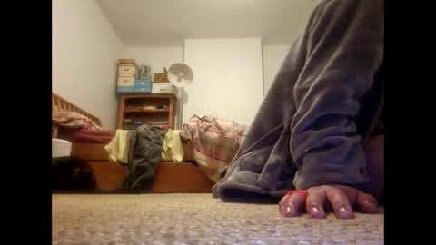 mccock16cm online show from 30, 4, 2026