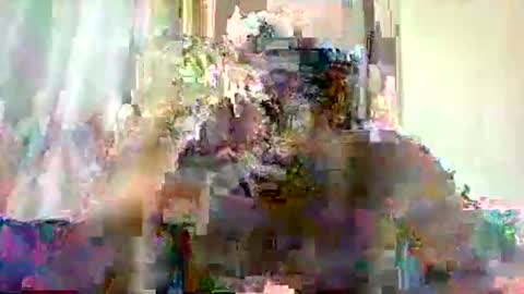 mclntz_bbc online show from 13, 5, 2026