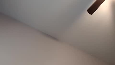 Jizzy online show from 13, 2, 2026