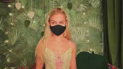 meeeewmeeeeow online show from 7, 11, 2025