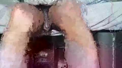 megaguebo online show from 11, 2, 2026