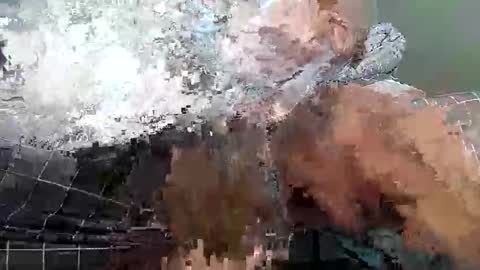 megaguebo online show from 5, 4, 2026