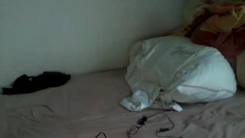 megamanp online show from 15, 12, 2024