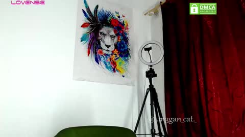 megan_cat online show from 11, 11, 2025