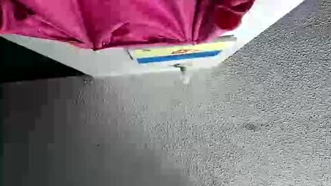 Megan and sophi online show from 18, 10, 2025