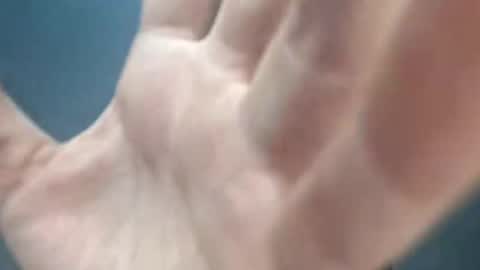 Megan and sophi online show from 5, 3, 2026