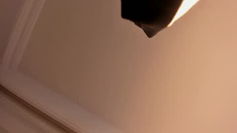     online show from 1, 2, 2025