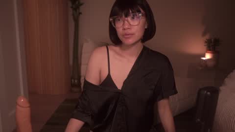 Snapshot of meganmei666 chatting on 2, 12, 2024 for more 3 online show from 2, 12, 2024