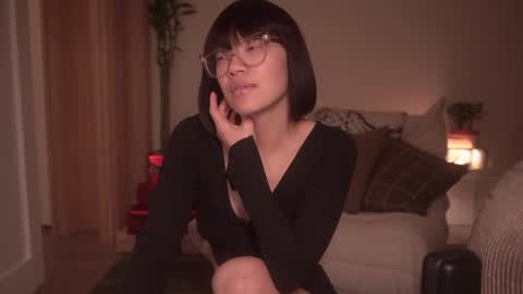 Snapshot of meganmei666 chatting on 17, 12, 2024 for more 3 online show from 17, 12, 2024