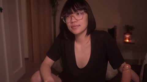 Snapshot of meganmei666 chatting on 31, 12, 2024 for more 3 online show from 31, 12, 2024