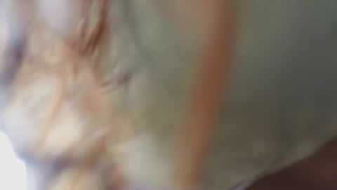 Snapshot of megann_9 chatting on 18, 2, 2026 Megan online show from 18, 2, 2026