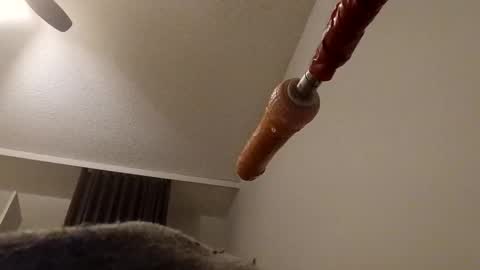 Snapshot of meheriuk68 chatting on 17, 12, 2025 meheriuk68 online show from 17, 12, 2025