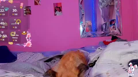 Snapshot of mejialuisa0142 chatting on 2, 3, 2025 Luisa online show from 2, 3, 2025