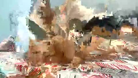 melahnie051002 online show from 3, 12, 2025