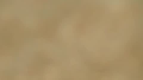 Snapshot of melania_browis chatting on 15, 1, 2025 Melania online show from 15, 1, 2025