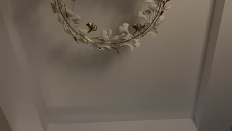 Adel online show from 11, 1, 2025