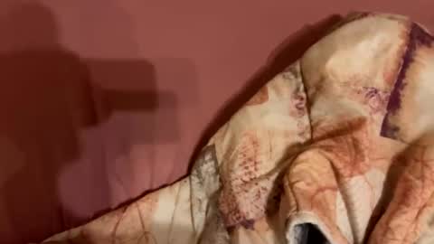 melissa9040 online show from 9, 2, 2026