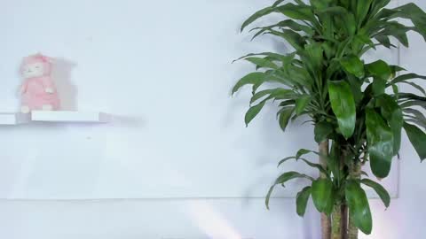 Melissa online show from 10, 1, 2025