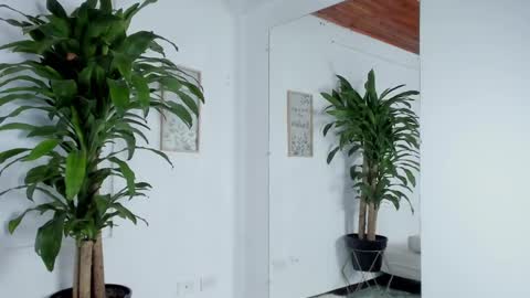 Melissa online show from 11, 2, 2025