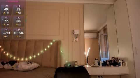 Lisaa online show from 25, 11, 2025