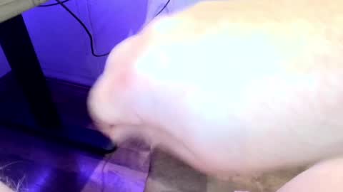 Snapshot of mellomike chatting on 22, 9, 2025 mellomike online show from 22, 9, 2025