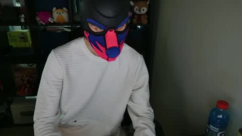 MellPUP online show from 5, 4, 2026