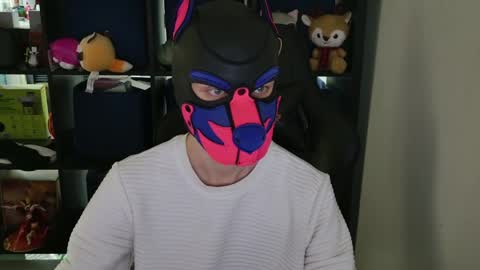 MellPUP online show from 8, 4, 2026