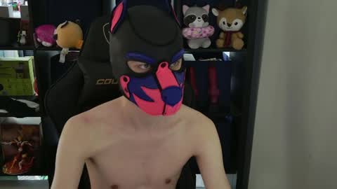 MellPUP online show from 9, 4, 2026