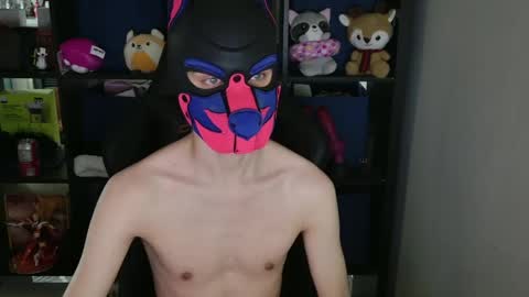 MellPUP online show from 15, 4, 2026