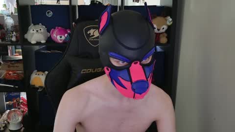 MellPUP online show from 30, 4, 2026