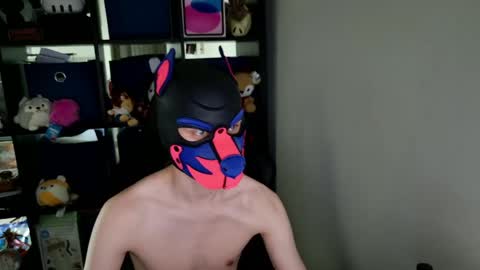 MellPUP online show from 26, 5, 2026
