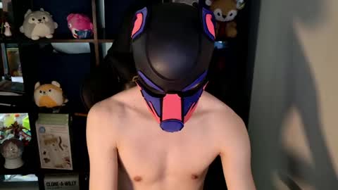 MellPUP online show from 30, 5, 2026
