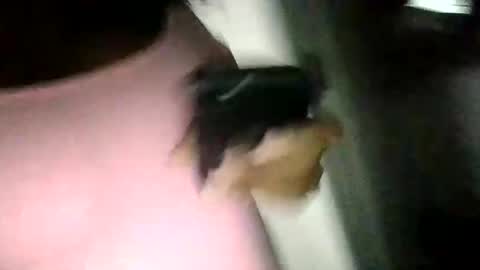 melmel262626 online show from 31, 12, 2024