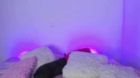 Snapshot of melody__77 chatting on 5, 3, 2025 online show from 5, 3, 2025