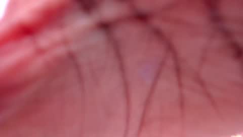 Mixie online show from 13, 1, 2025