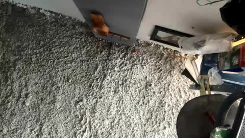 Snapshot of melodysnow chatting on 5, 1, 2026 melodysnow online show from 5, 1, 2026