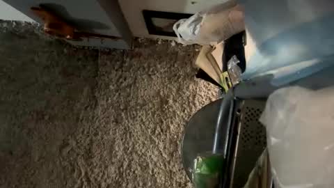 Snapshot of melodysnow chatting on 8, 1, 2026 melodysnow online show from 8, 1, 2026