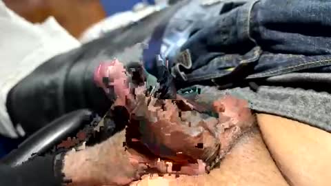 meminpeneguin online show from 6, 3, 2025