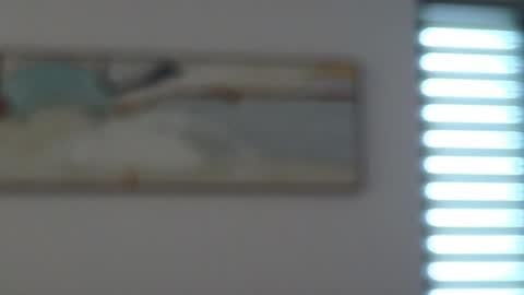 Mencialo online show from 10, 5, 2026